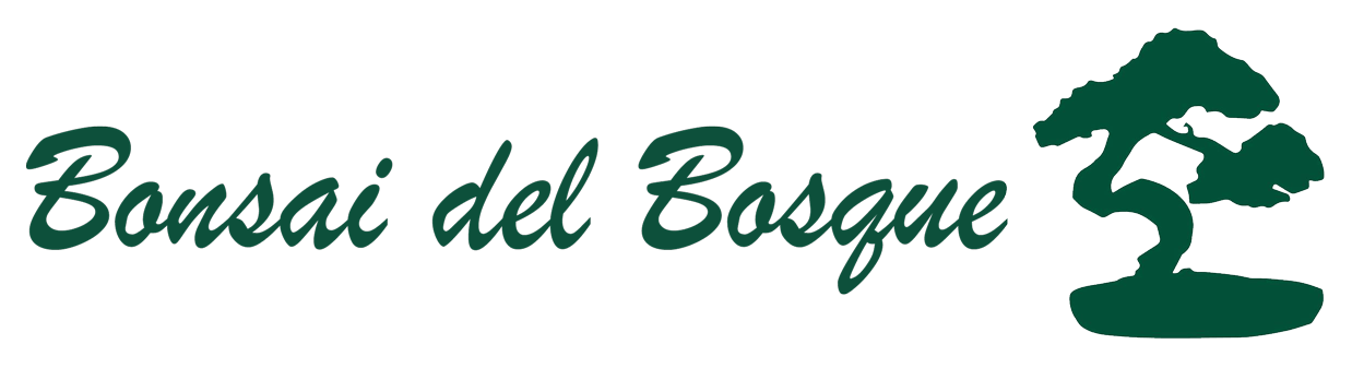 Bonsai del Bosque